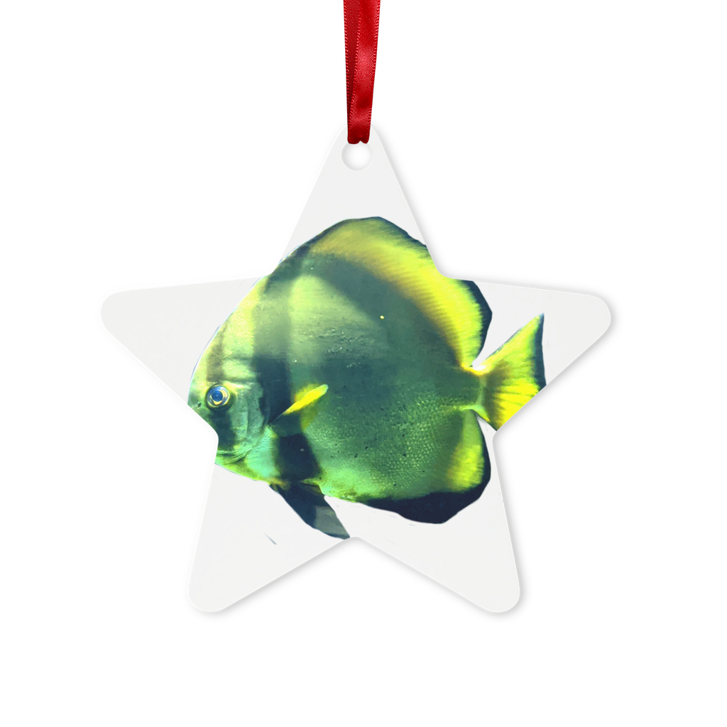 Green Fish Metal Hanging Ornament in hexagon and star shapes, featuring a gloss white finish and red ribbon for hanging.