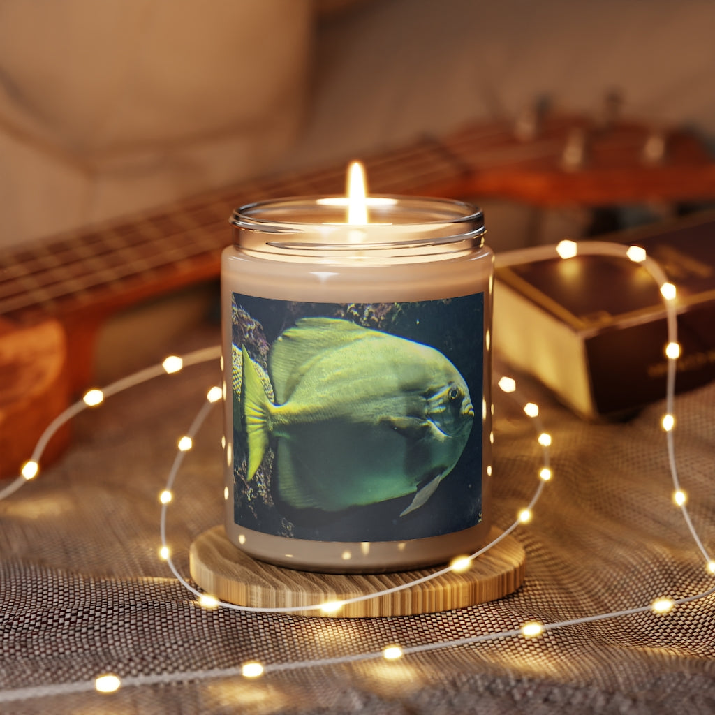 Green Fish Scented Candle in a glass container, showcasing its elegant design and vibrant label.