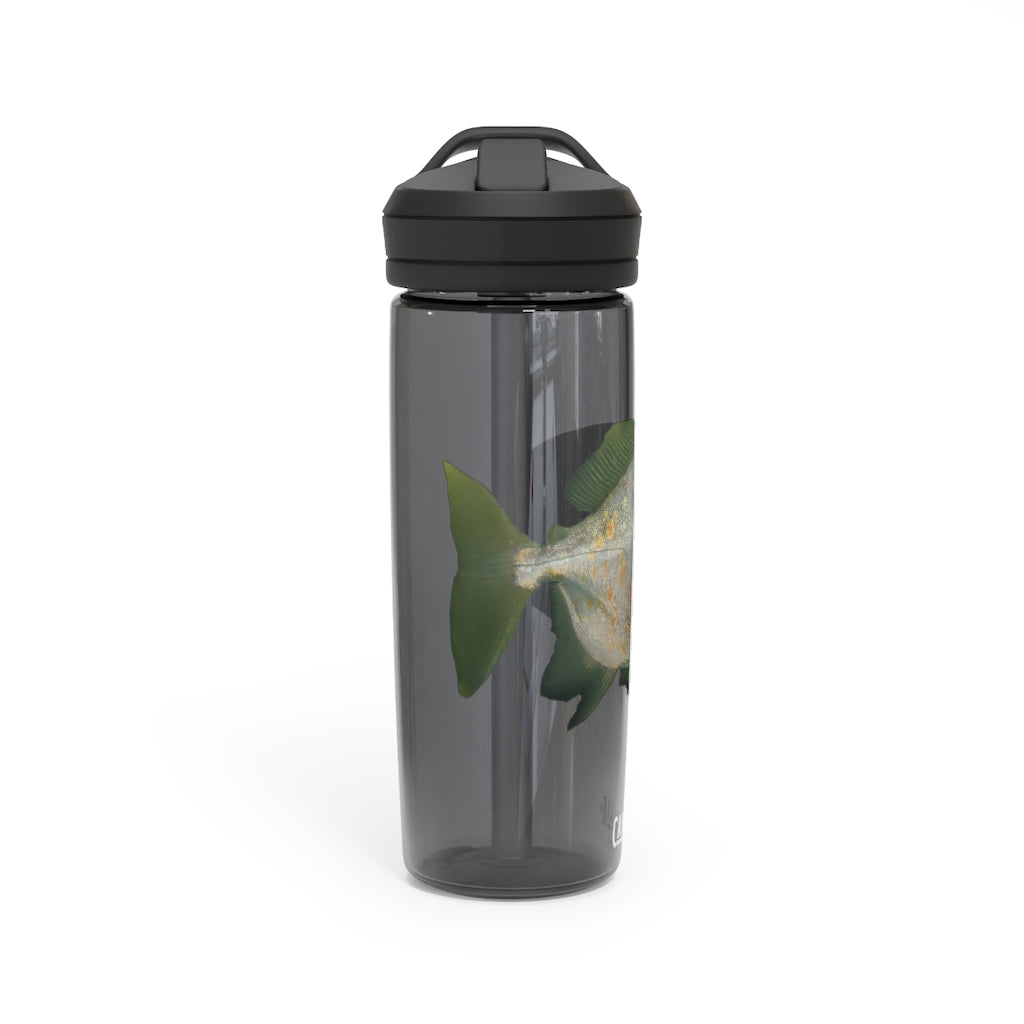 Green Fish CamelBak Eddy® Water Bottle in 20oz and 25oz sizes, showcasing its vibrant design and durable construction.