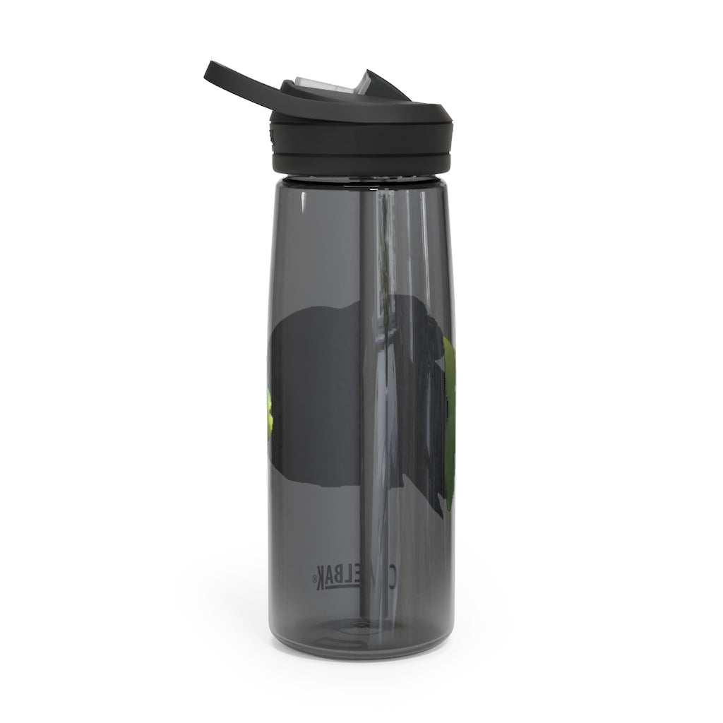 Green Fish CamelBak Eddy® Water Bottle in 20oz and 25oz sizes, showcasing its vibrant design and durable construction.