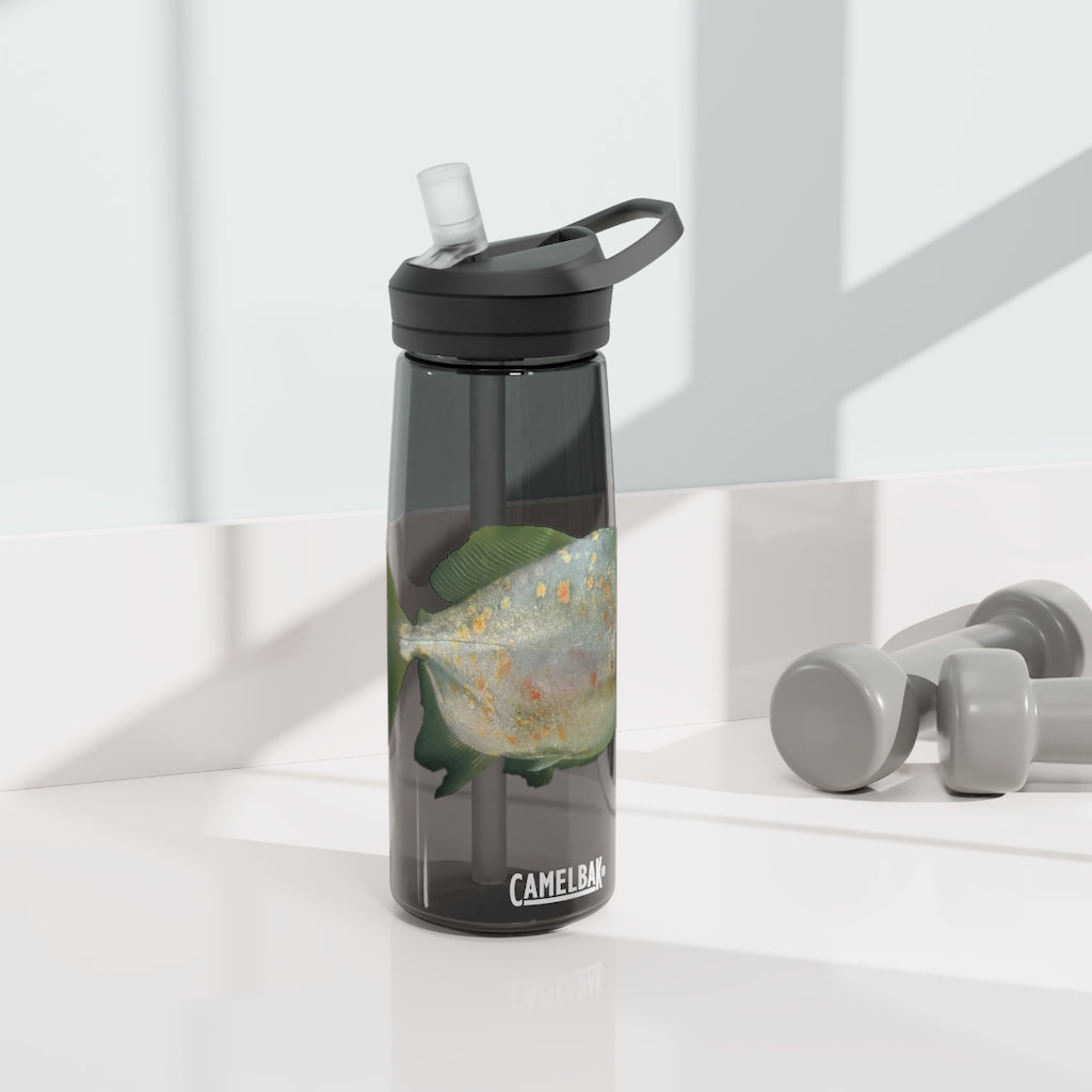 Green Fish CamelBak Eddy® Water Bottle in 20oz and 25oz sizes, showcasing its vibrant design and durable construction.