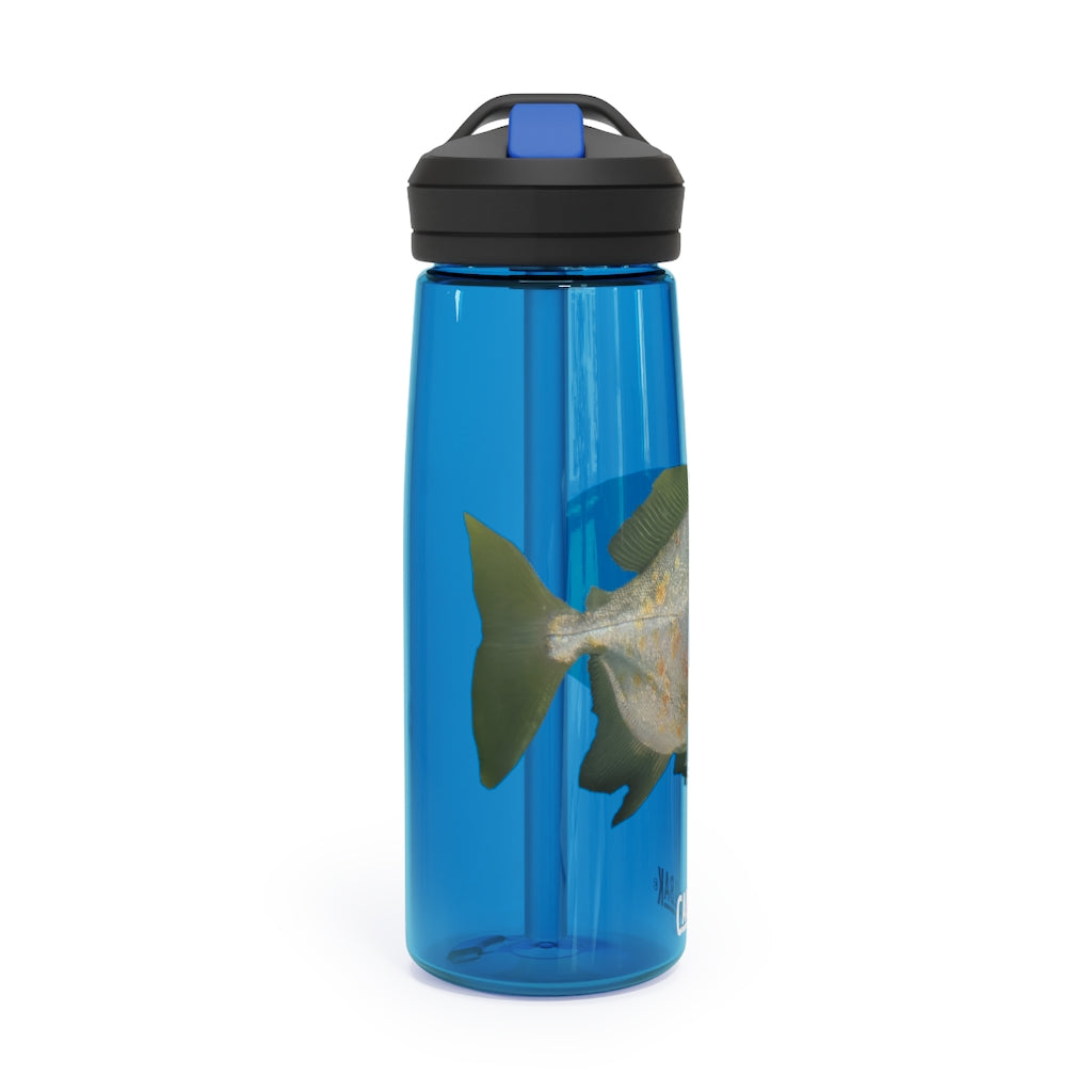 Green Fish CamelBak Eddy® Water Bottle in 20oz and 25oz sizes, showcasing its vibrant design and durable construction.