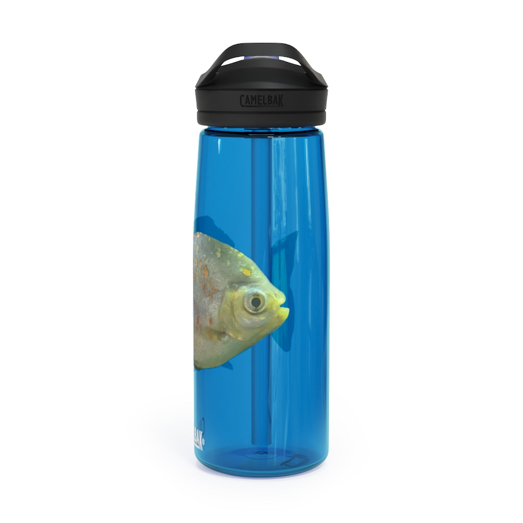 Green Fish CamelBak Eddy® Water Bottle in 20oz and 25oz sizes, showcasing its vibrant design and durable construction.