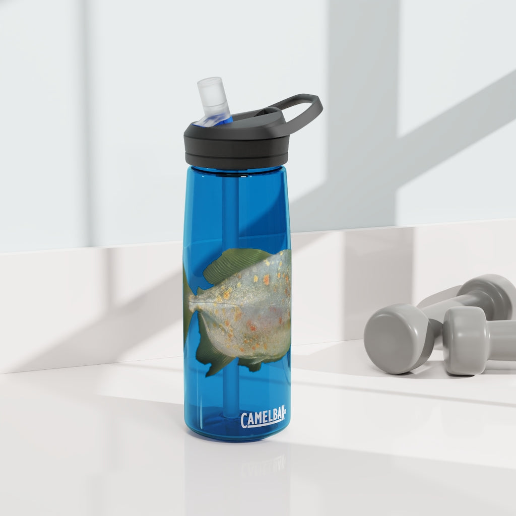 Green Fish CamelBak Eddy® Water Bottle in 20oz and 25oz sizes, showcasing its vibrant design and durable construction.