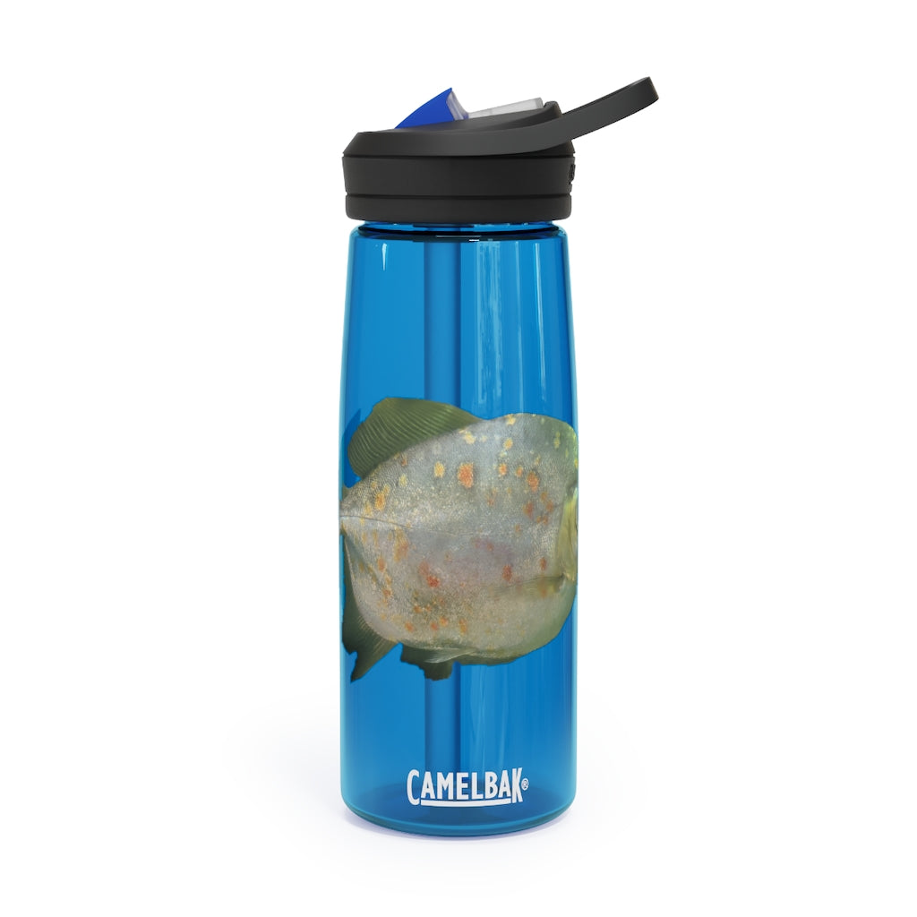 Green Fish CamelBak Eddy® Water Bottle in 20oz and 25oz sizes, showcasing its vibrant design and durable construction.