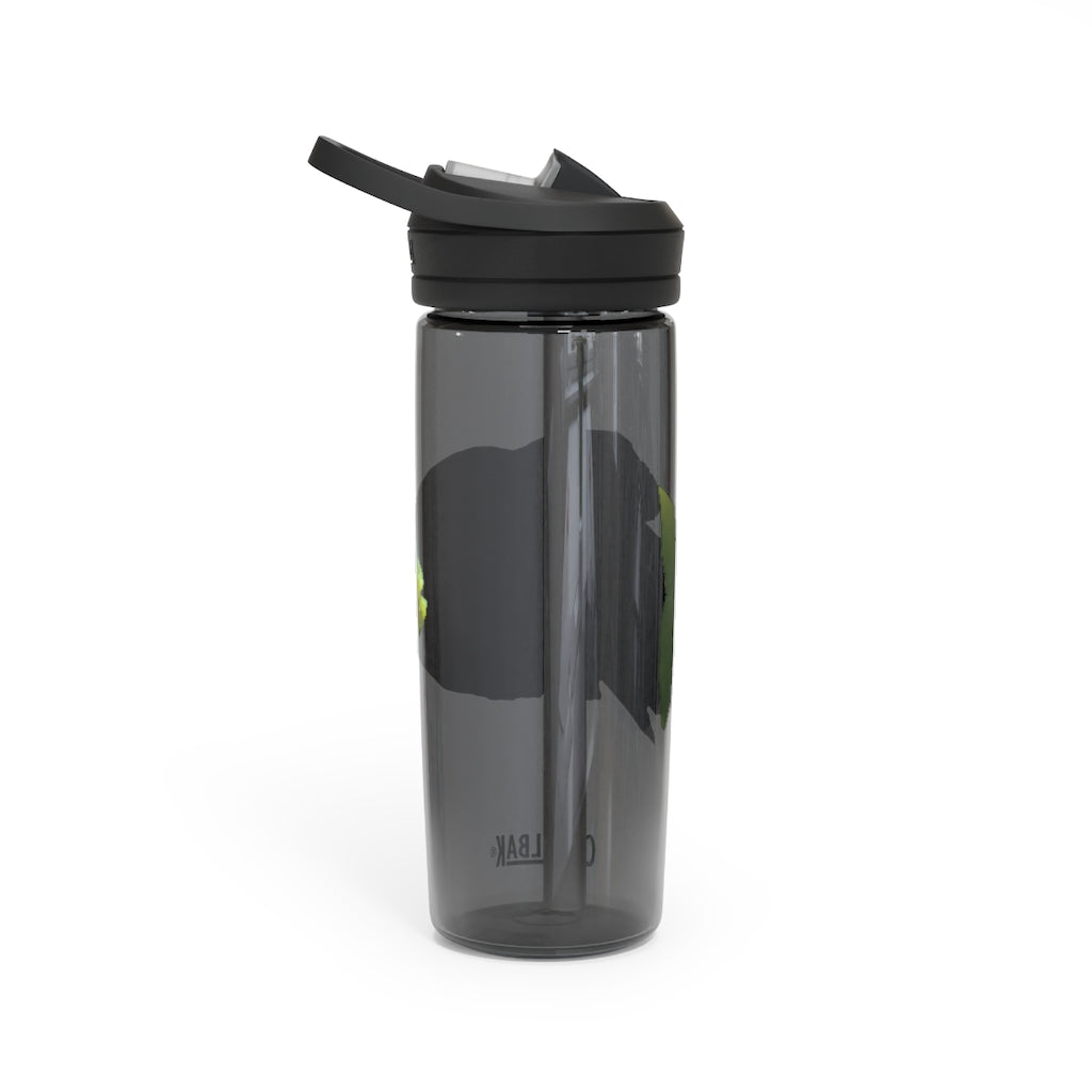Green Fish CamelBak Eddy® Water Bottle in 20oz and 25oz sizes, showcasing its vibrant design and durable construction.