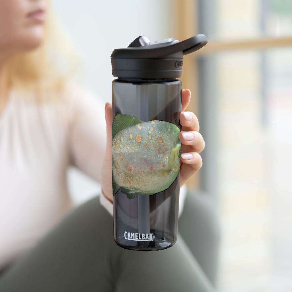Green Fish CamelBak Eddy® Water Bottle in 20oz and 25oz sizes, showcasing its vibrant design and durable construction.
