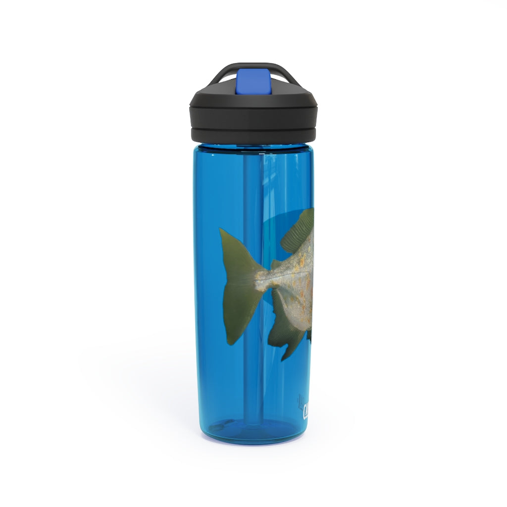 Green Fish CamelBak Eddy® Water Bottle in 20oz and 25oz sizes, showcasing its vibrant design and durable construction.