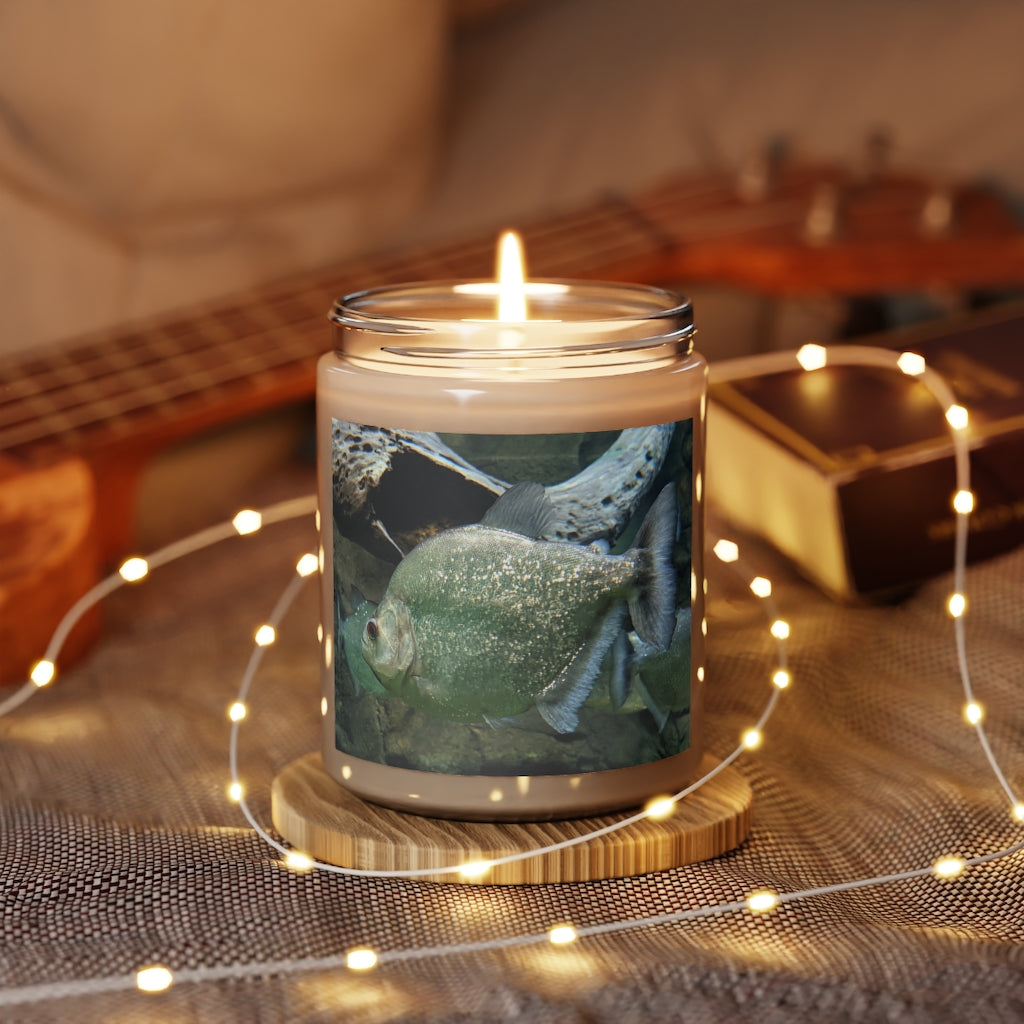 Green Fish with Specs Scented Candle in a glass container, showcasing its elegant design and soothing aroma.