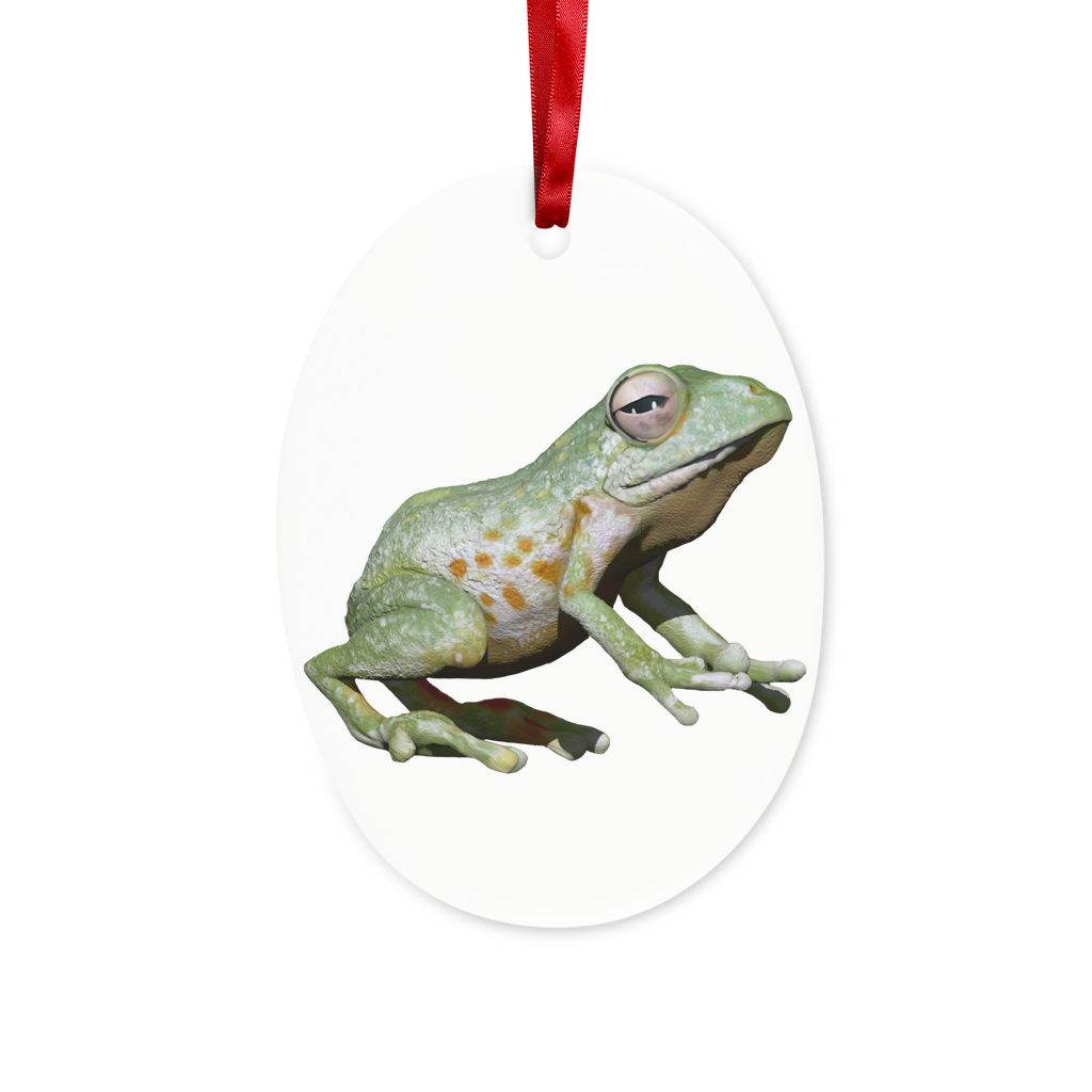 A Green Frog Ceramic Hanging Ornament with a red ribbon and gold string, beautifully crafted for holiday decoration or personalized gifting.