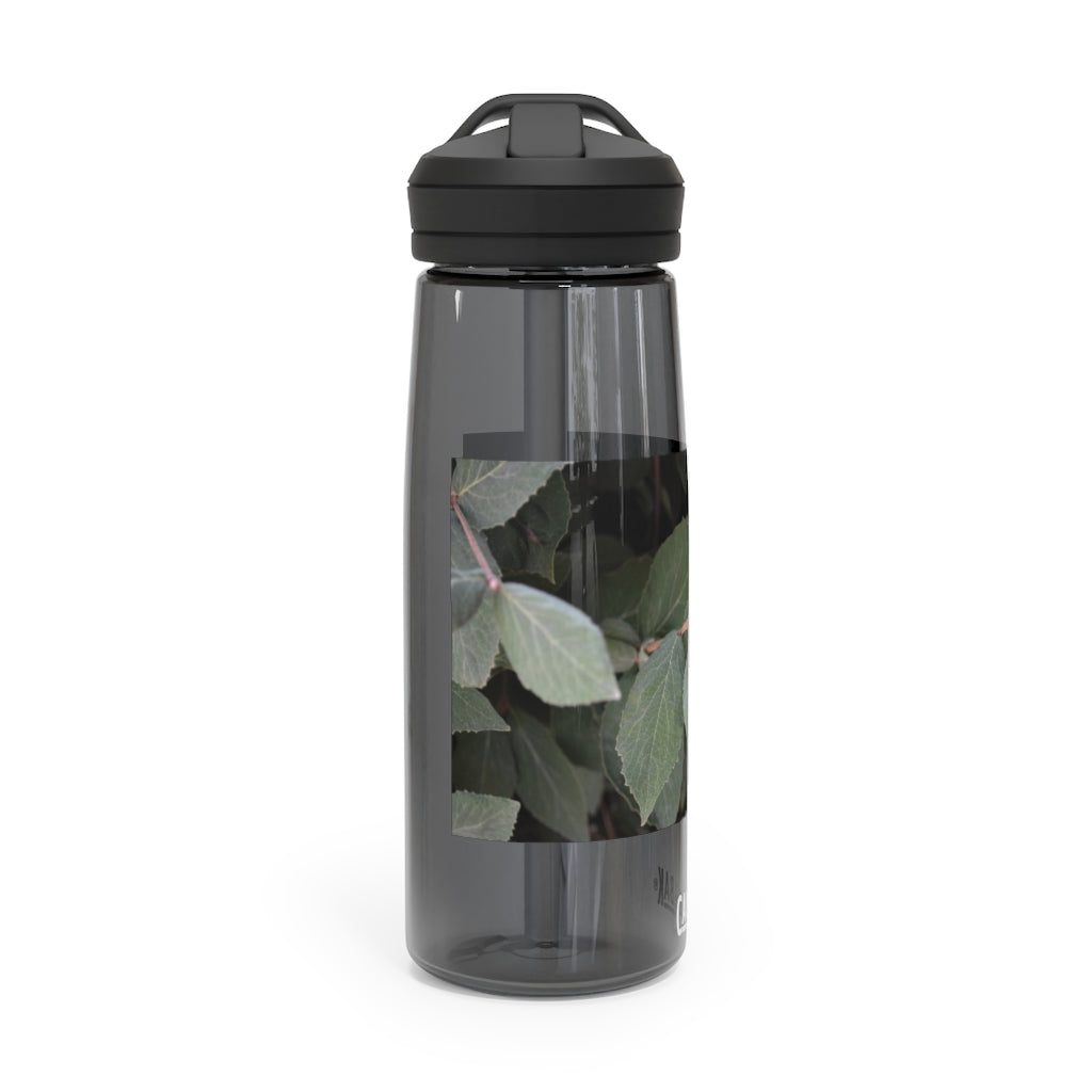 Green Leaves CamelBak Eddy® Water Bottle in 20oz and 25oz sizes, showcasing its stylish design and robust features.