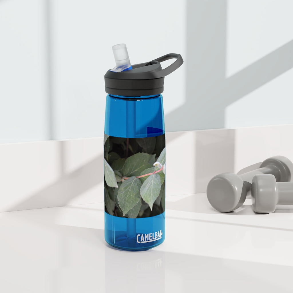 Green Leaves CamelBak Eddy® Water Bottle in 20oz and 25oz sizes, showcasing its stylish design and robust features.