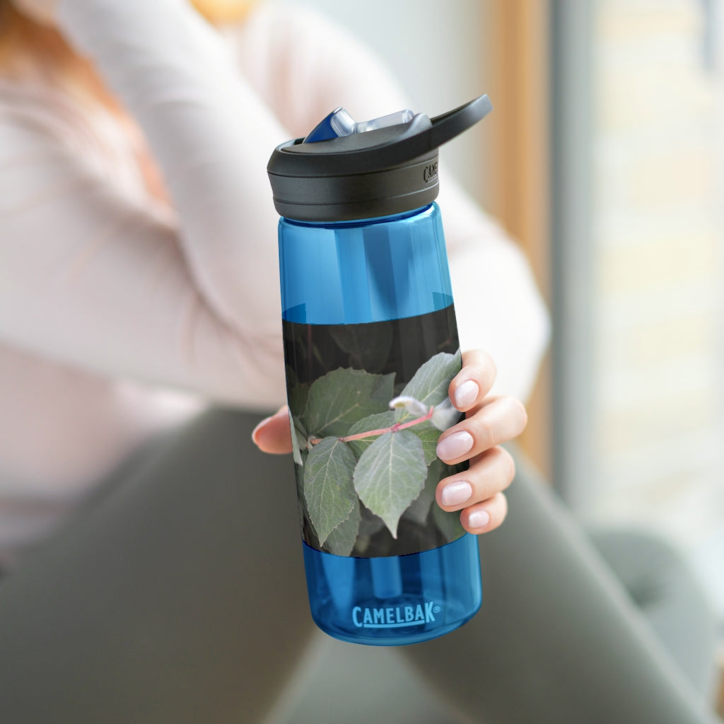 Green Leaves CamelBak Eddy® Water Bottle in 20oz and 25oz sizes, showcasing its stylish design and robust features.