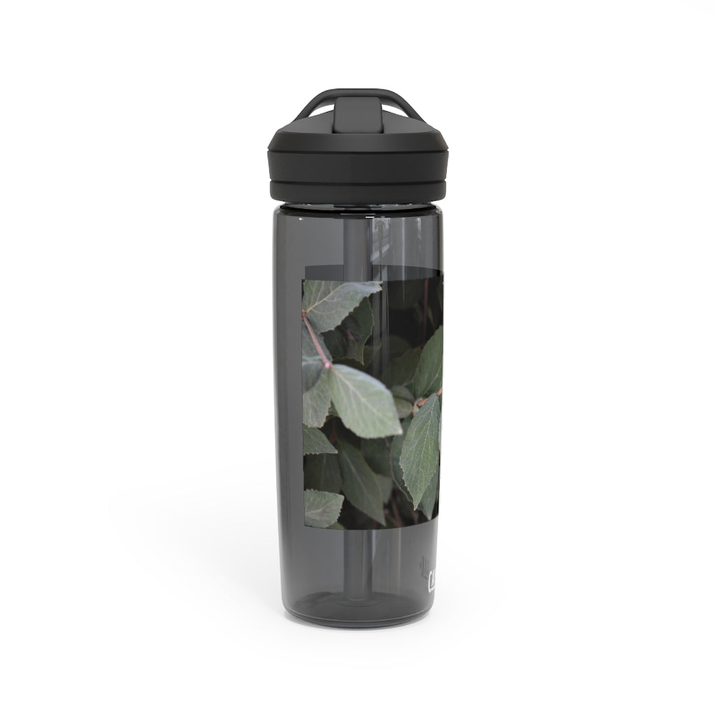 Green Leaves CamelBak Eddy® Water Bottle in 20oz and 25oz sizes, showcasing its stylish design and robust features.