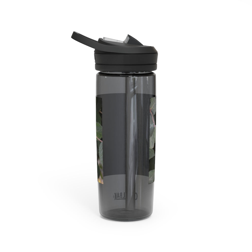 Green Leaves CamelBak Eddy® Water Bottle in 20oz and 25oz sizes, showcasing its stylish design and robust features.