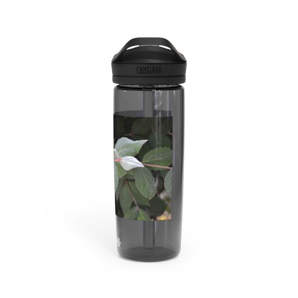 Green Leaves CamelBak Eddy® Water Bottle in 20oz and 25oz sizes, showcasing its stylish design and robust features.