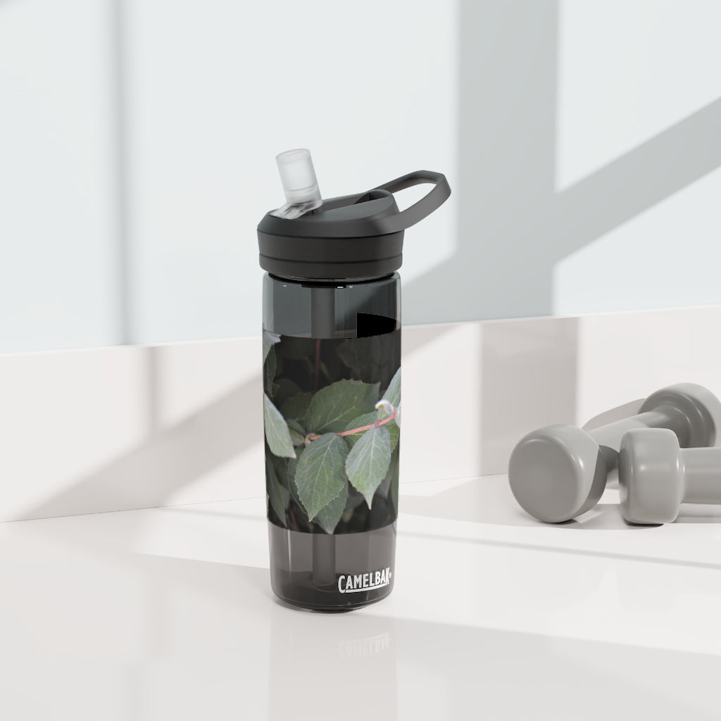 Green Leaves CamelBak Eddy® Water Bottle in 20oz and 25oz sizes, showcasing its stylish design and robust features.