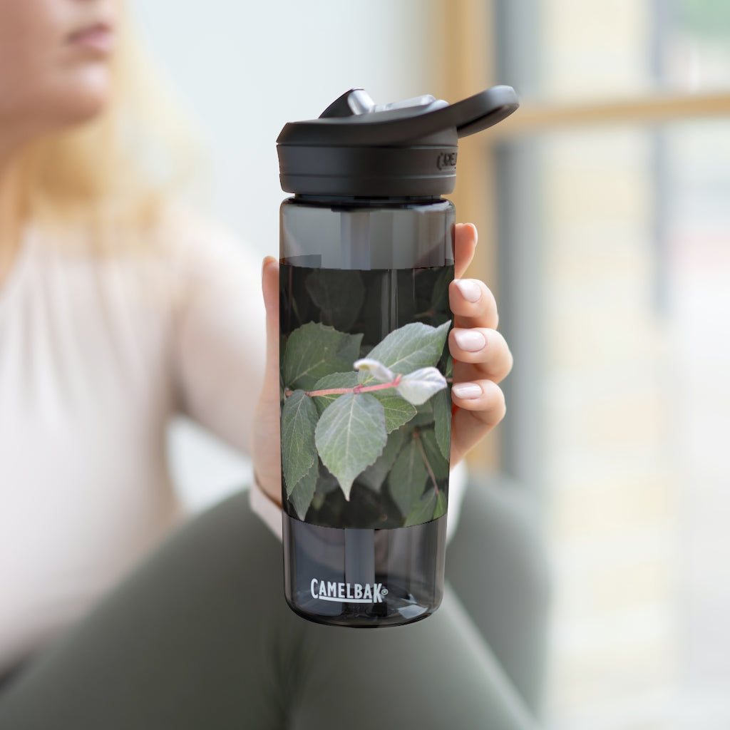 Green Leaves CamelBak Eddy® Water Bottle in 20oz and 25oz sizes, showcasing its stylish design and robust features.