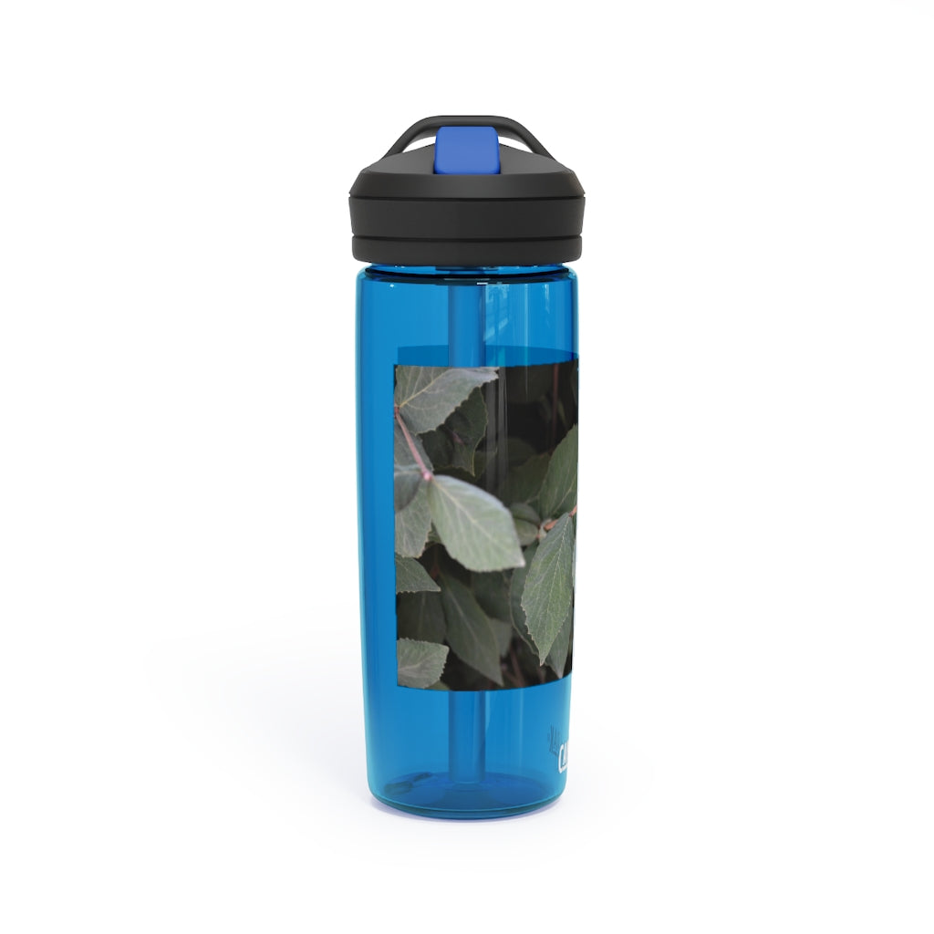 Green Leaves CamelBak Eddy® Water Bottle in 20oz and 25oz sizes, showcasing its stylish design and robust features.