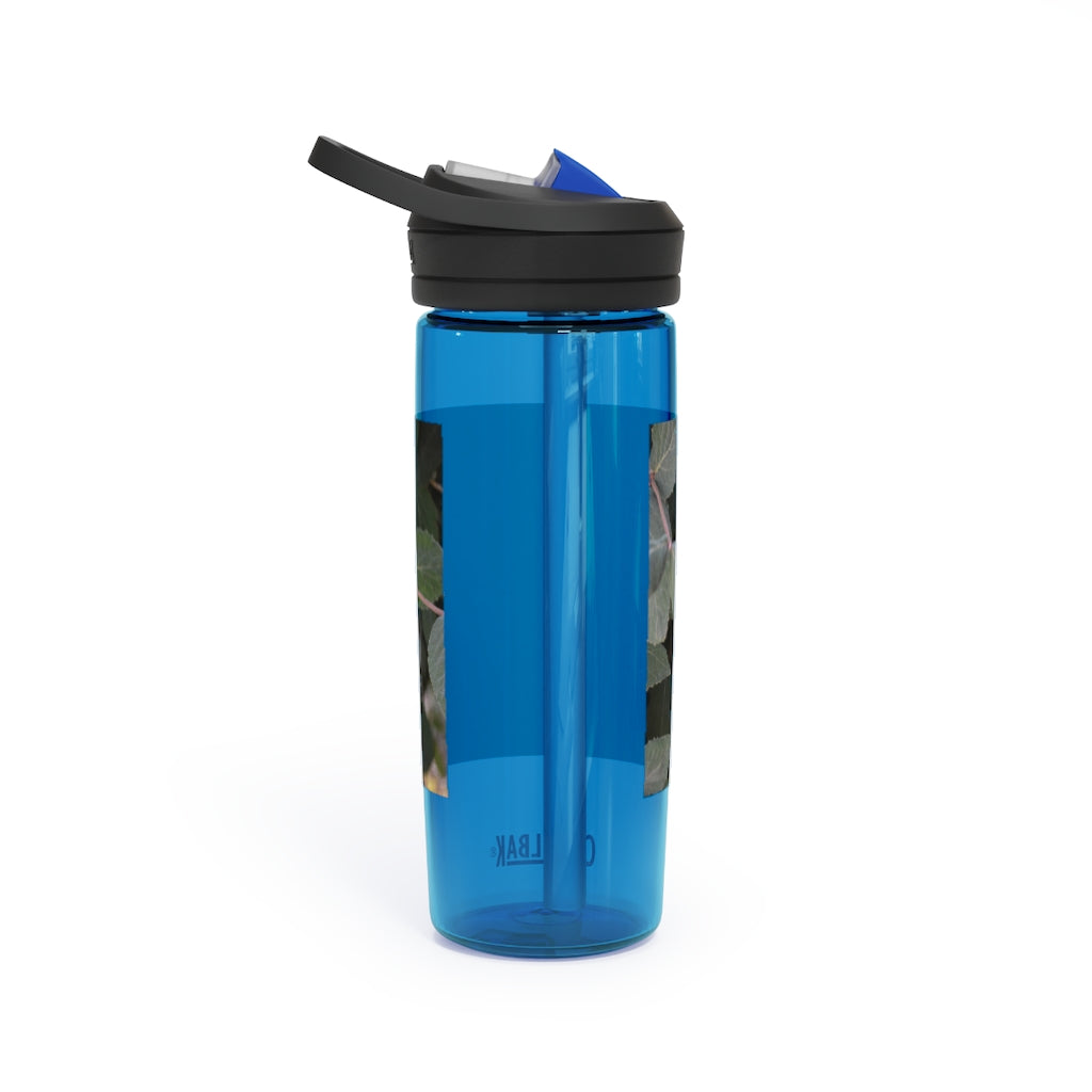 Green Leaves CamelBak Eddy® Water Bottle in 20oz and 25oz sizes, showcasing its stylish design and robust features.
