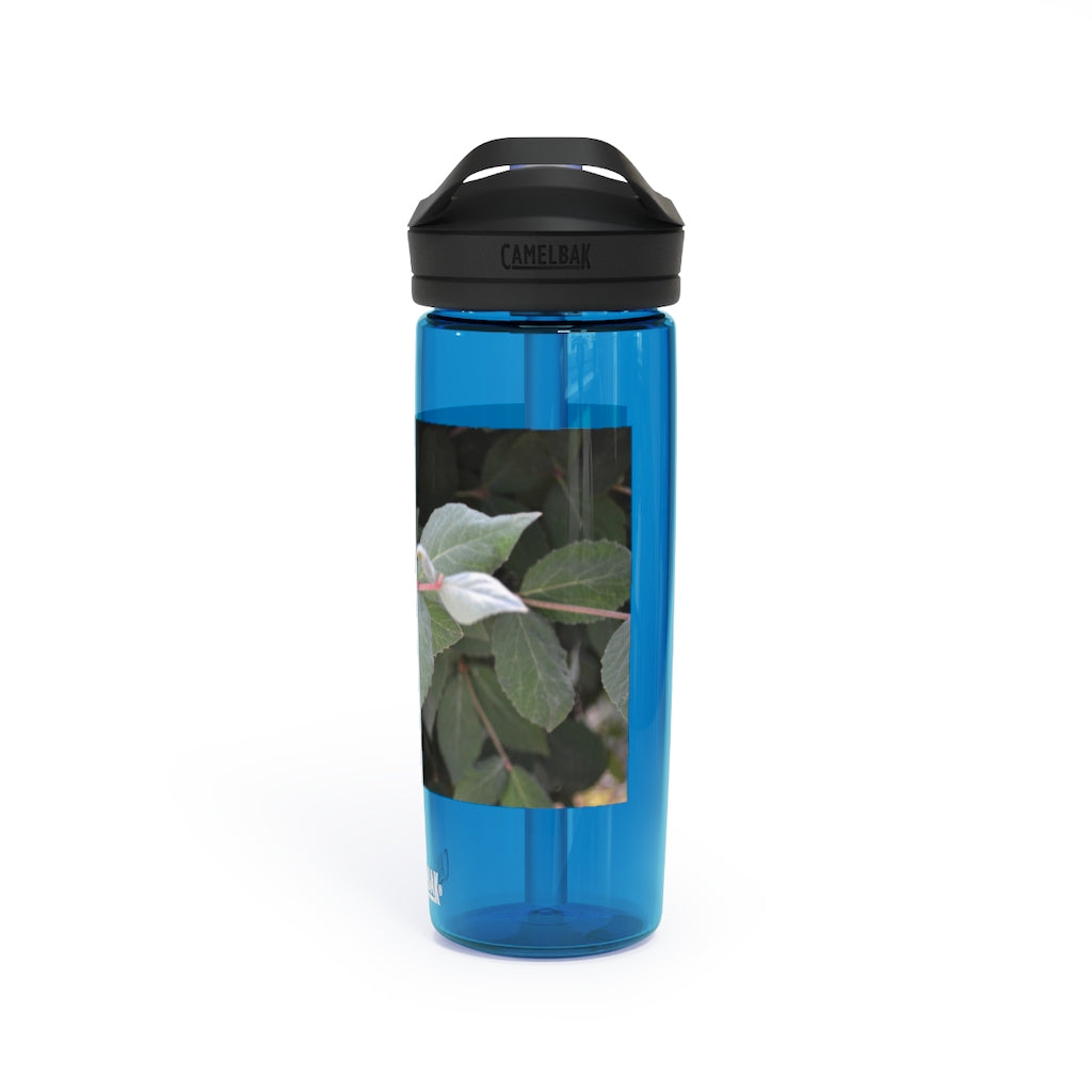 Green Leaves CamelBak Eddy® Water Bottle in 20oz and 25oz sizes, showcasing its stylish design and robust features.