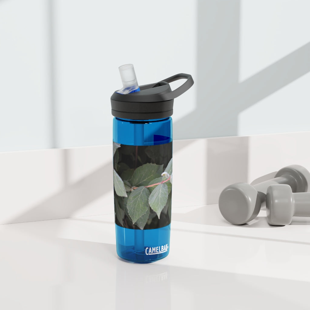 Green Leaves CamelBak Eddy® Water Bottle in 20oz and 25oz sizes, showcasing its stylish design and robust features.
