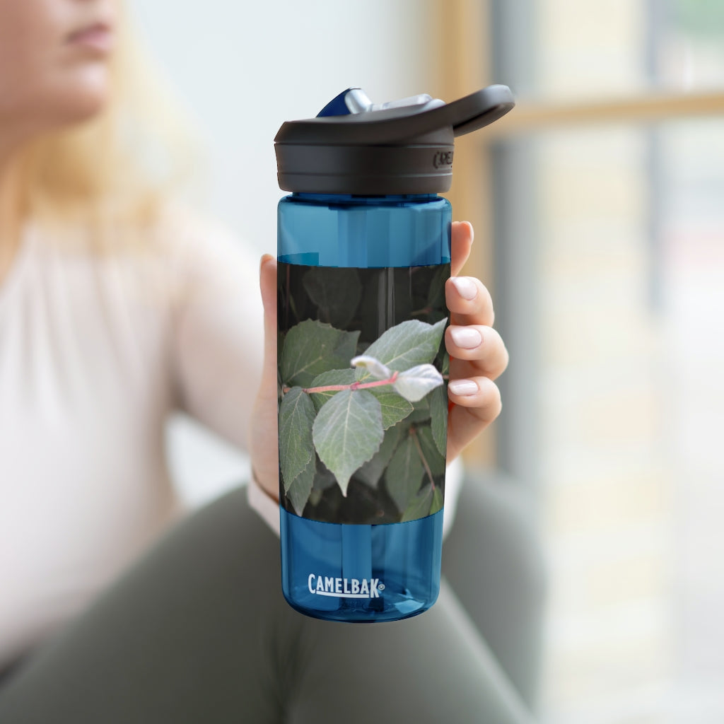 Green Leaves CamelBak Eddy® Water Bottle in 20oz and 25oz sizes, showcasing its stylish design and robust features.