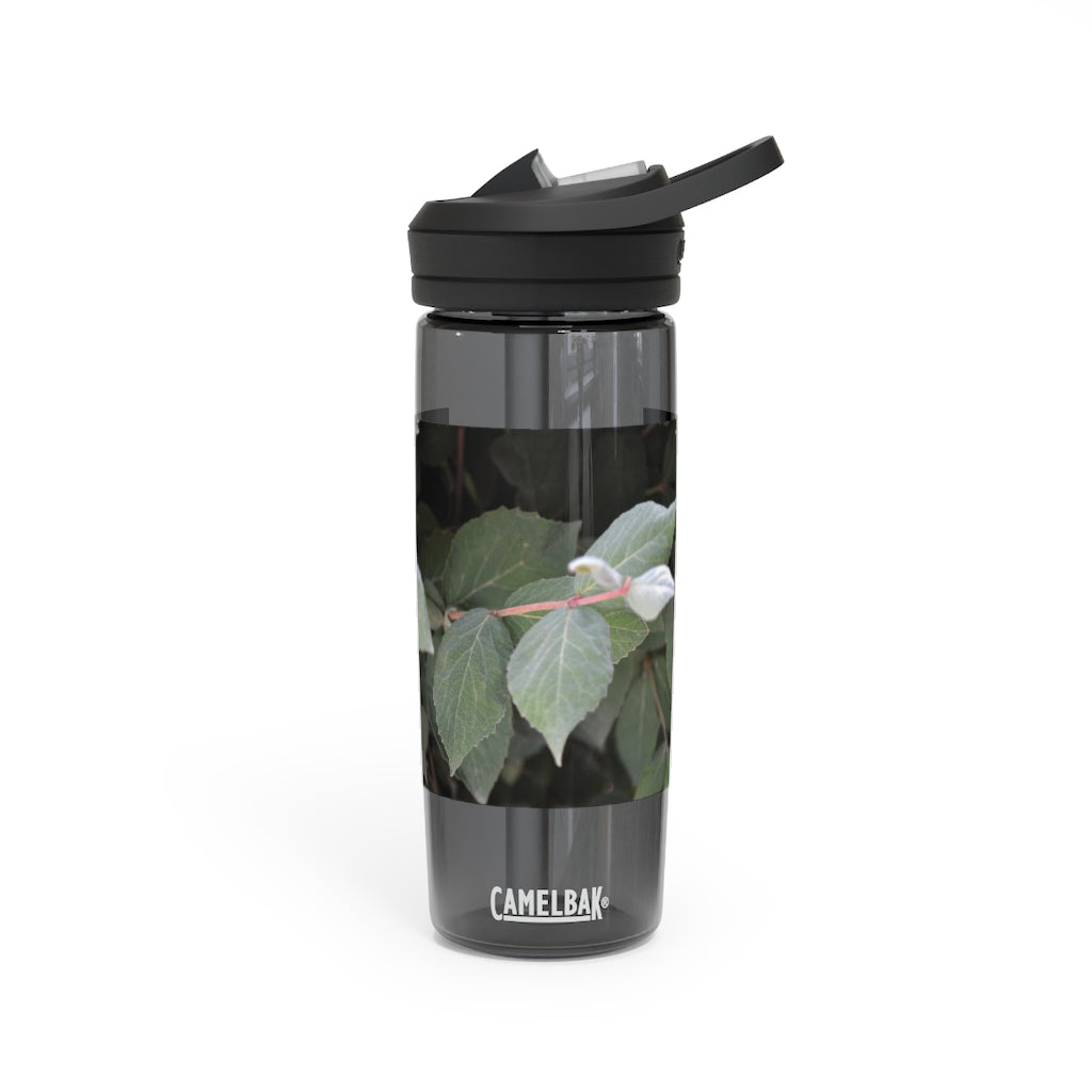 Green Leaves CamelBak Eddy® Water Bottle in 20oz and 25oz sizes, showcasing its stylish design and robust features.