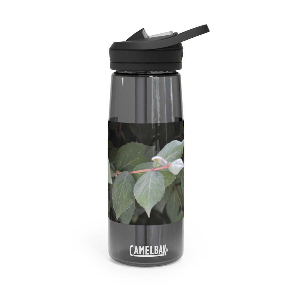 Green Leaves CamelBak Eddy® Water Bottle in 20oz and 25oz sizes, showcasing its stylish design and robust features.