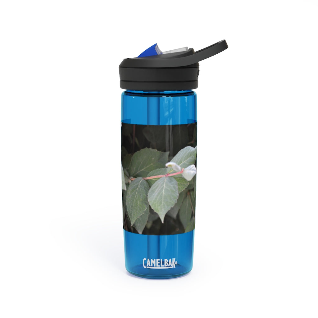 Green Leaves CamelBak Eddy® Water Bottle in 20oz and 25oz sizes, showcasing its stylish design and robust features.