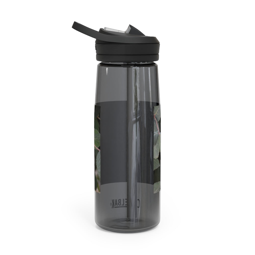 Green Leaves CamelBak Eddy® Water Bottle in 20oz and 25oz sizes, showcasing its stylish design and robust features.