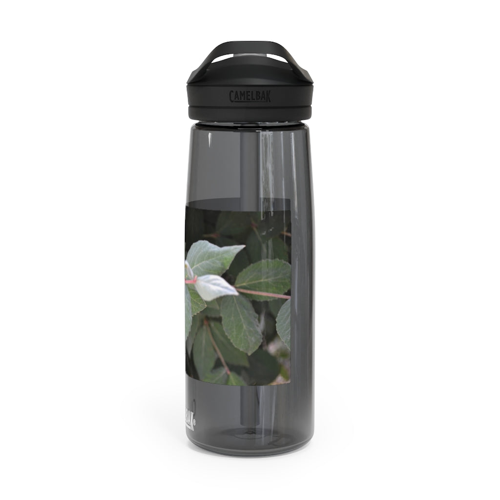 Green Leaves CamelBak Eddy® Water Bottle in 20oz and 25oz sizes, showcasing its stylish design and robust features.