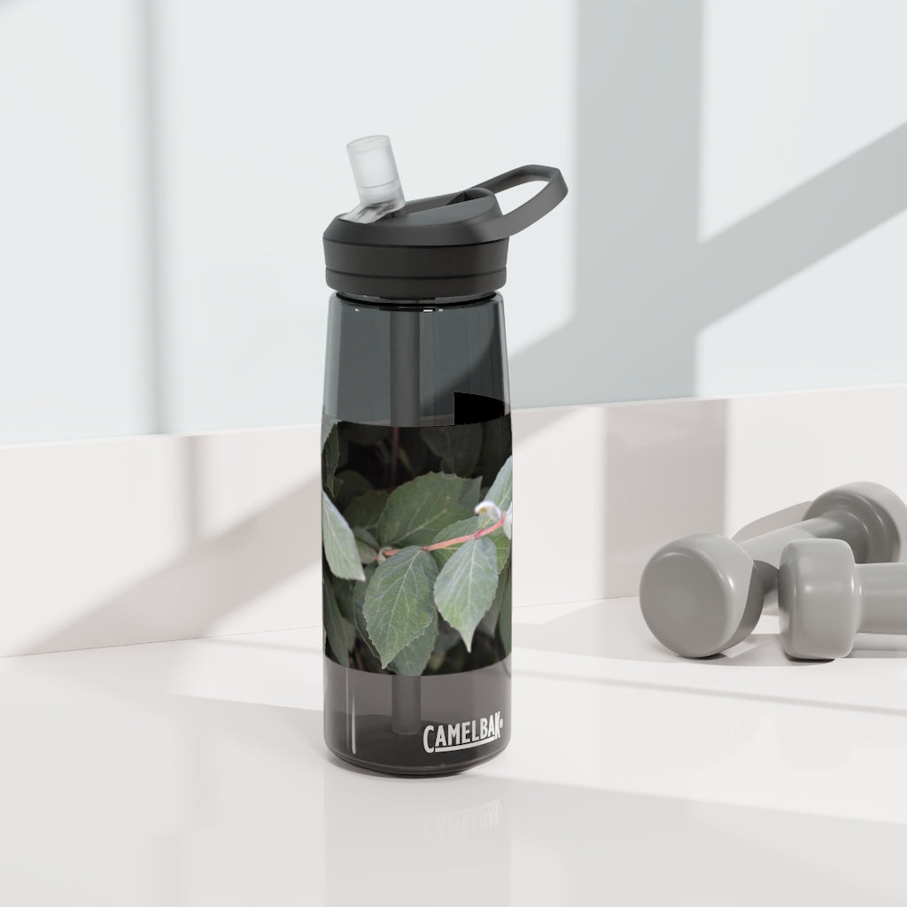 Green Leaves CamelBak Eddy® Water Bottle in 20oz and 25oz sizes, showcasing its stylish design and robust features.