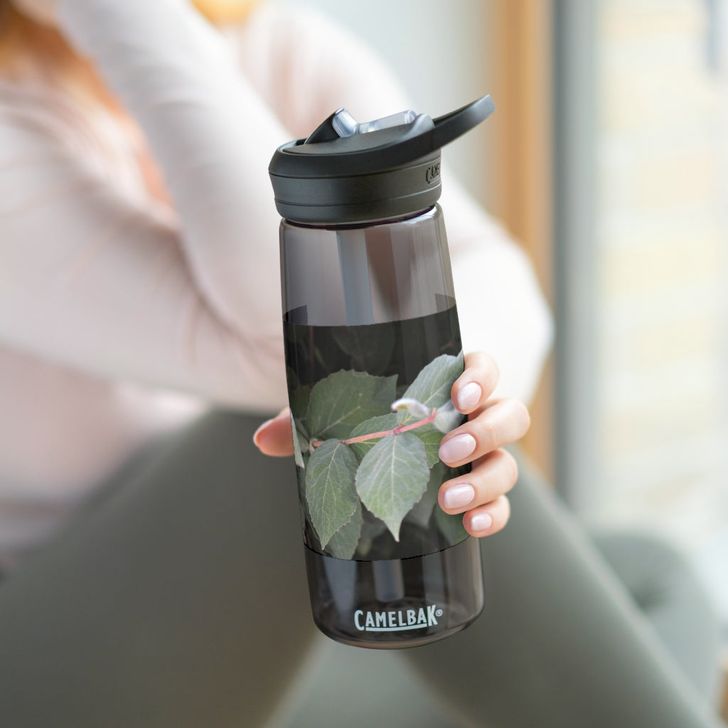 Green Leaves CamelBak Eddy® Water Bottle in 20oz and 25oz sizes, showcasing its stylish design and robust features.