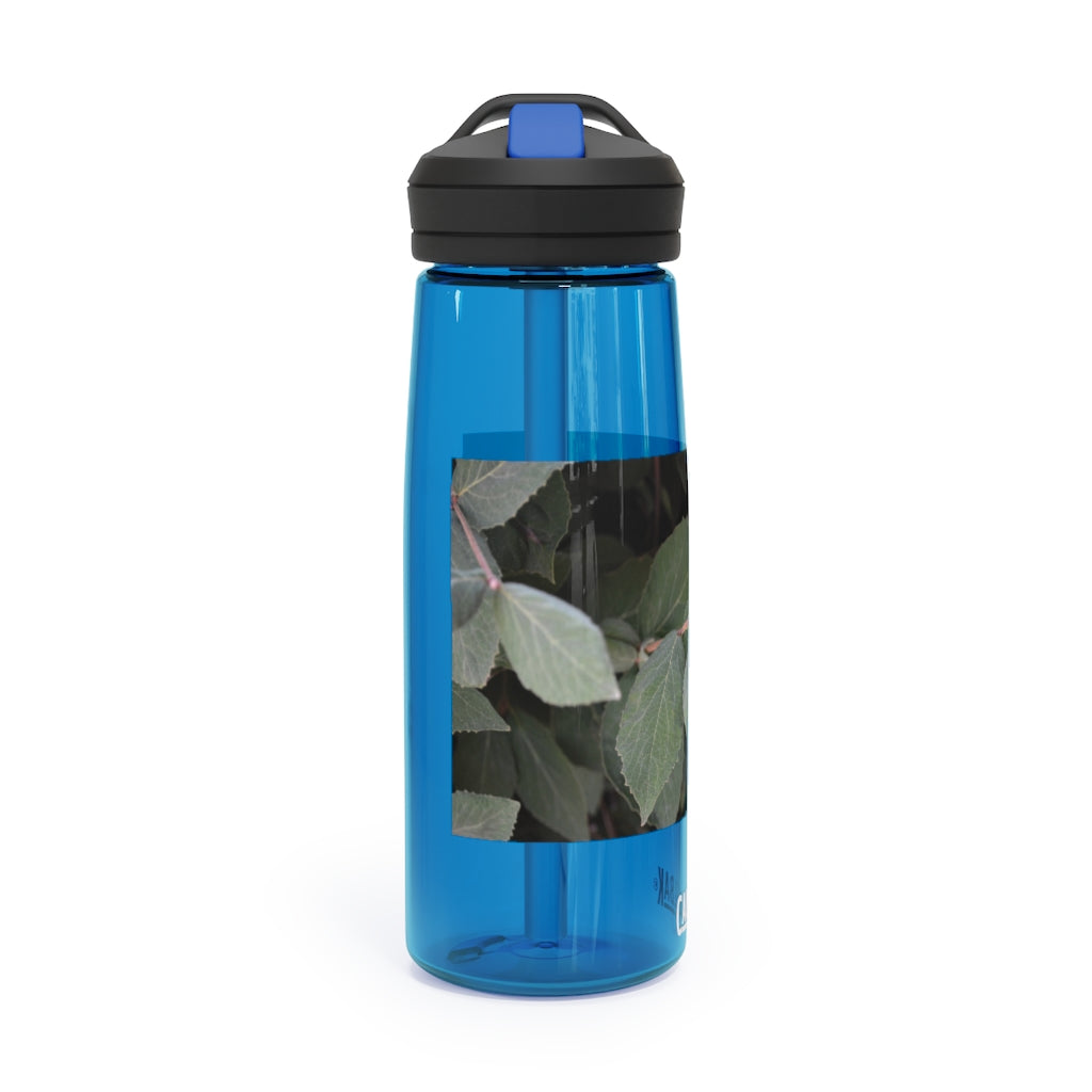 Green Leaves CamelBak Eddy® Water Bottle in 20oz and 25oz sizes, showcasing its stylish design and robust features.