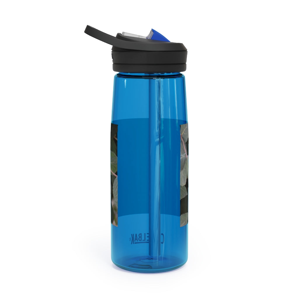 Green Leaves CamelBak Eddy® Water Bottle in 20oz and 25oz sizes, showcasing its stylish design and robust features.