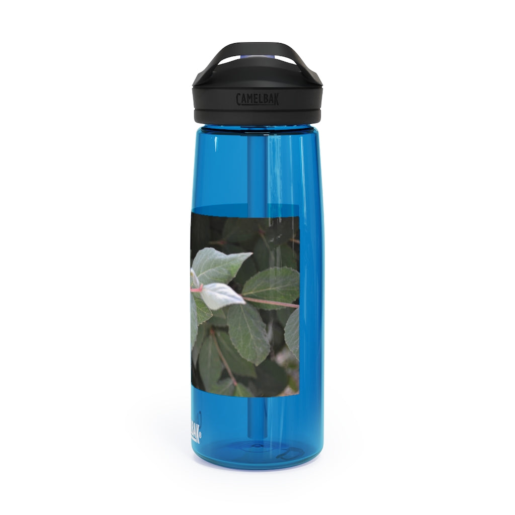 Green Leaves CamelBak Eddy® Water Bottle in 20oz and 25oz sizes, showcasing its stylish design and robust features.