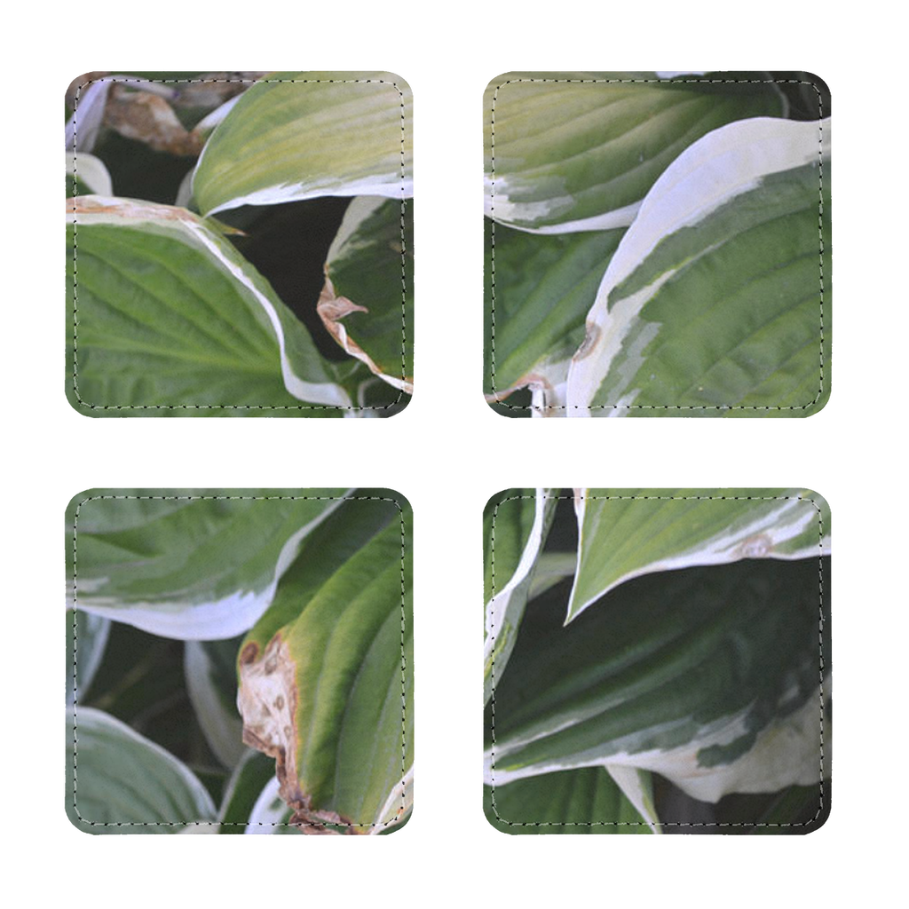 Pack of four Green Leaves Sublimation Coasters made of PU leather, featuring a white printable face and elegant white stitching.