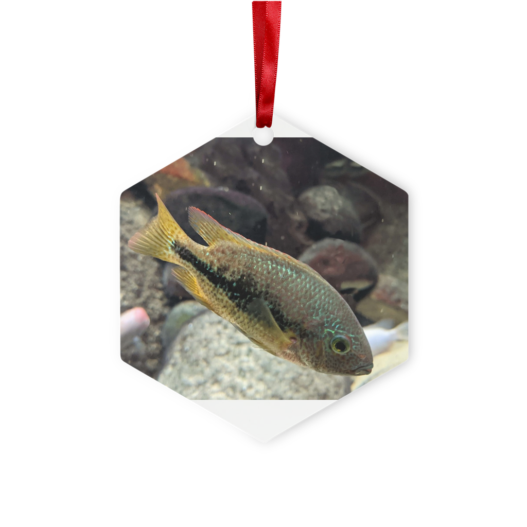 Green Orange Fish Metal Hanging Ornament in hexagon and star shapes, featuring a glossy white finish and red ribbon for hanging.