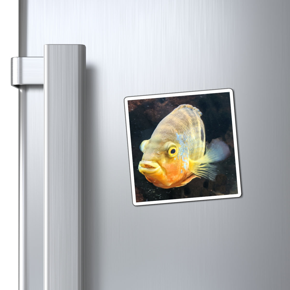 A set of Grey Orange Fish Magnets showcasing their vibrant colors and strong design, ideal for displaying messages on metallic surfaces.