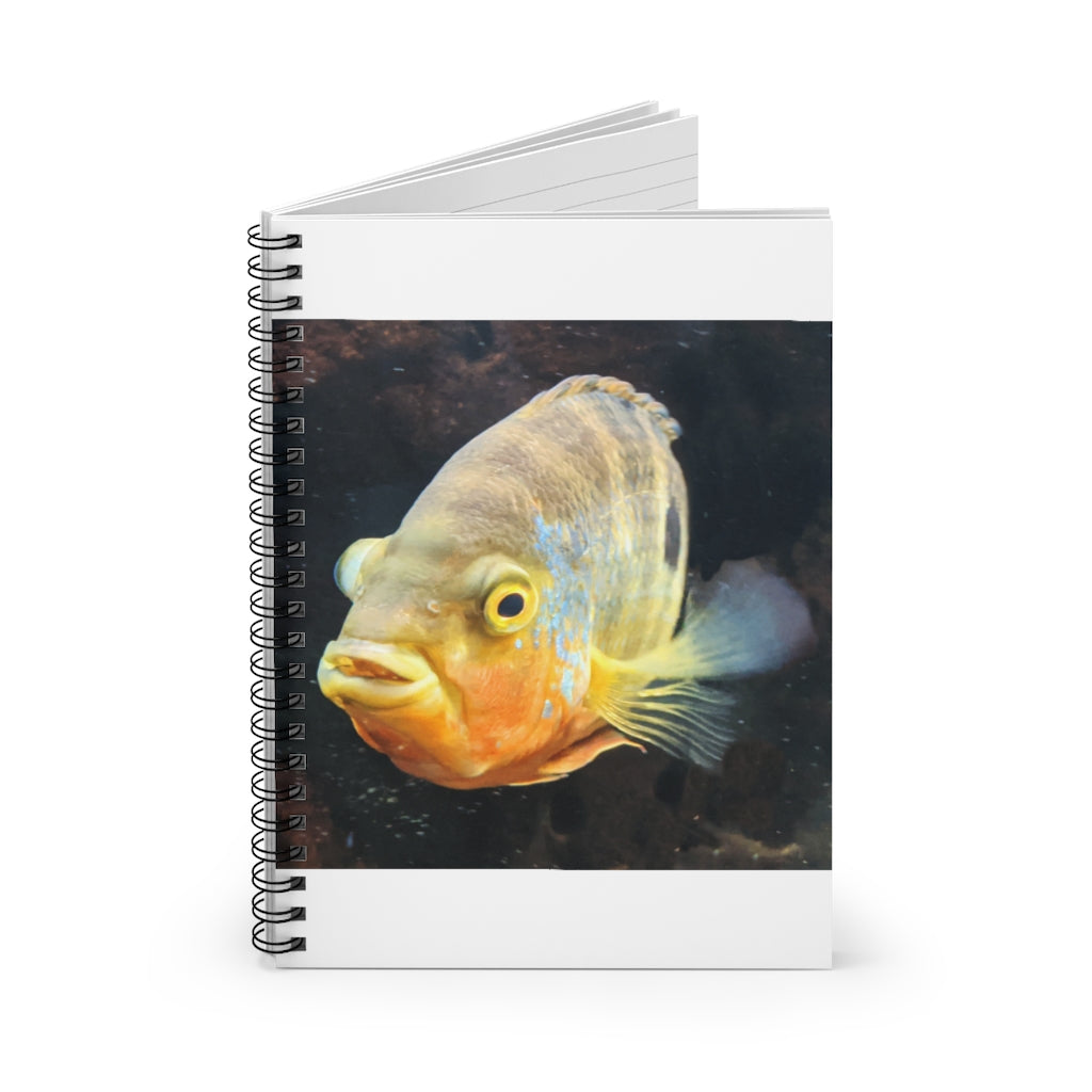 Grey Orange Fish Spiral Notebook with ruled line pages and a printed cover featuring a fish design.