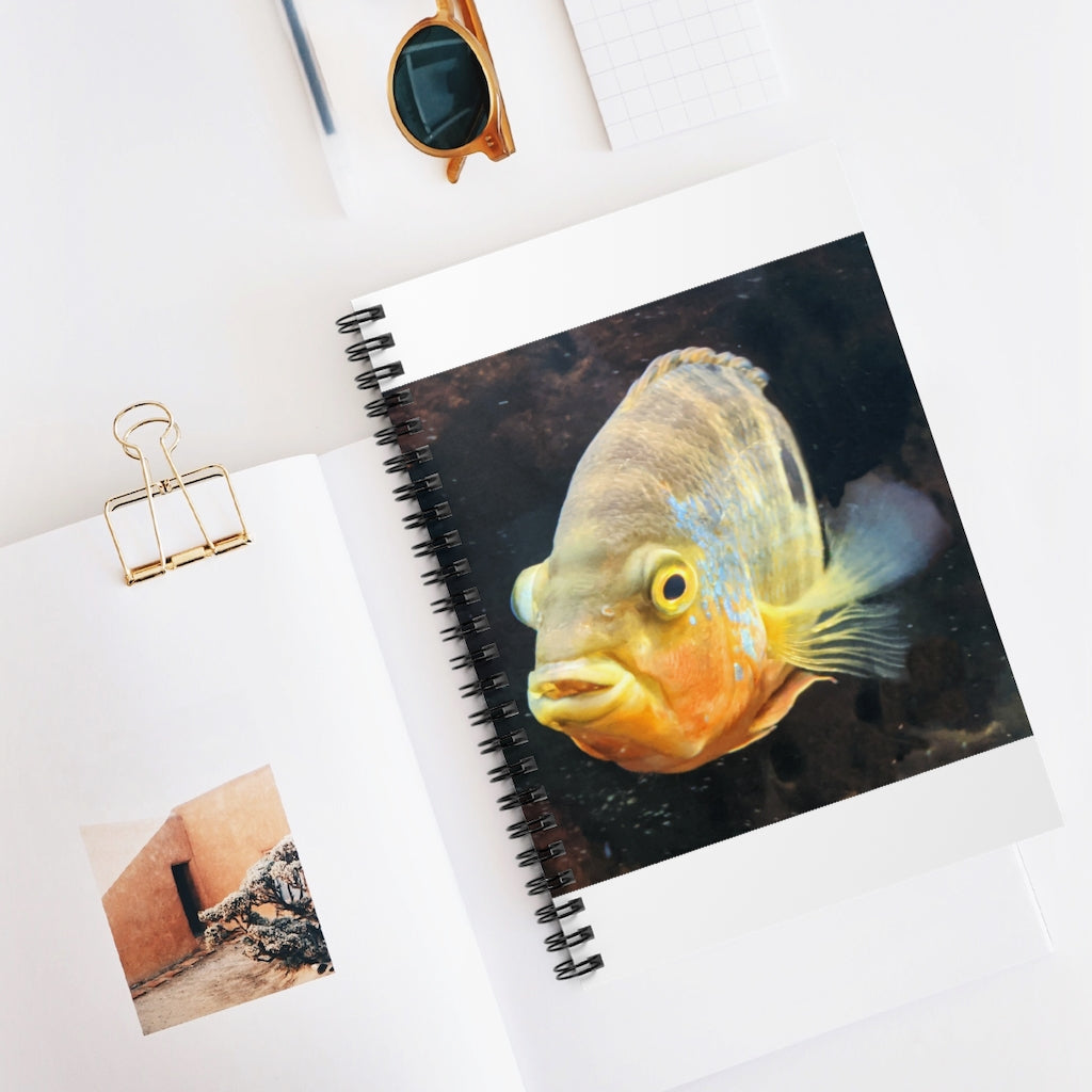 Grey Orange Fish Spiral Notebook with ruled line pages and a printed cover featuring a fish design.