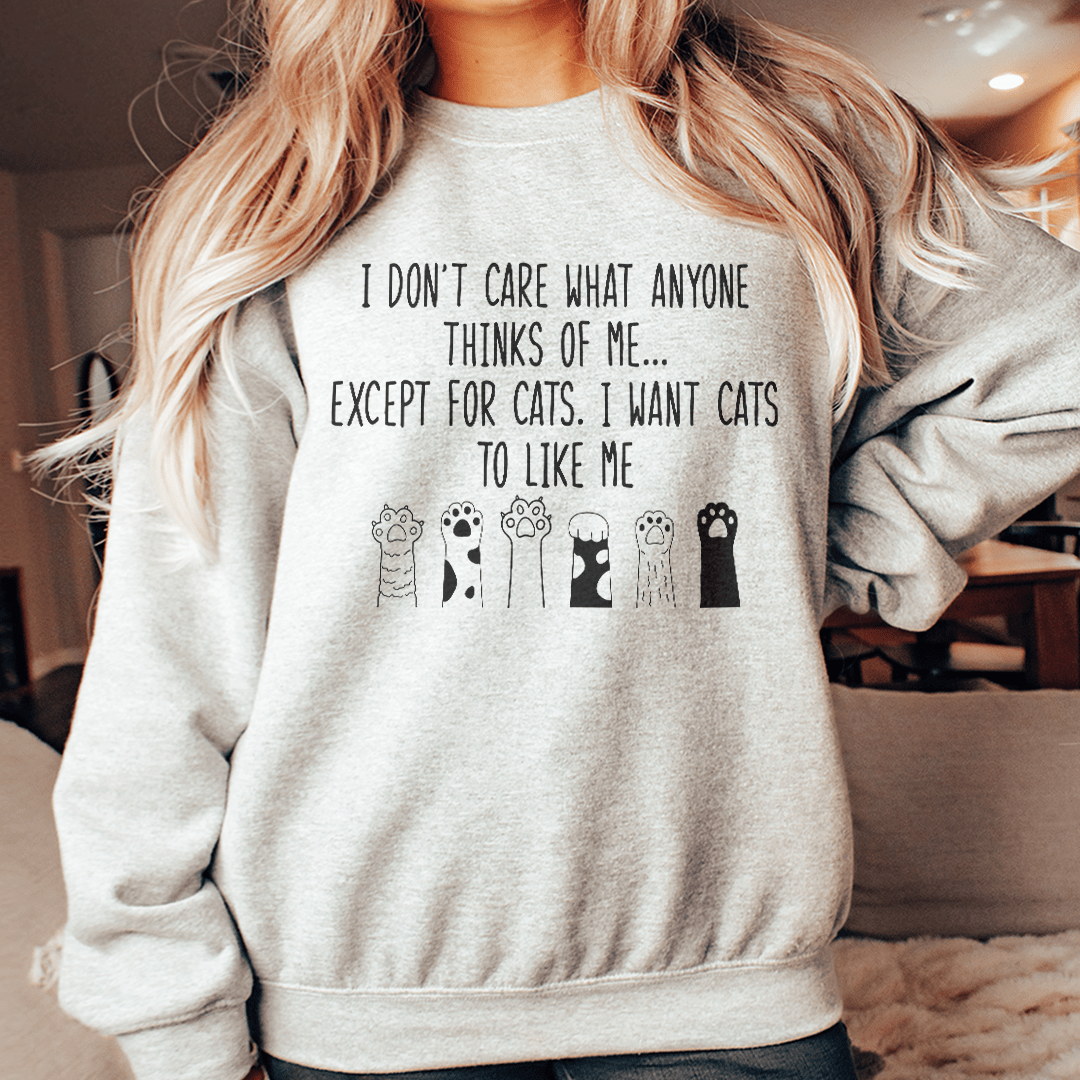 Cozy 'I Want Cats To Like Me' sweatshirt featuring a unique design, perfect for cat lovers.