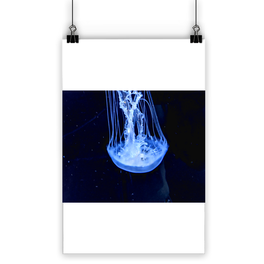 A vibrant JellyFish Classic Poster showcasing bright colors and a semi-gloss finish, perfect for indoor or outdoor display.