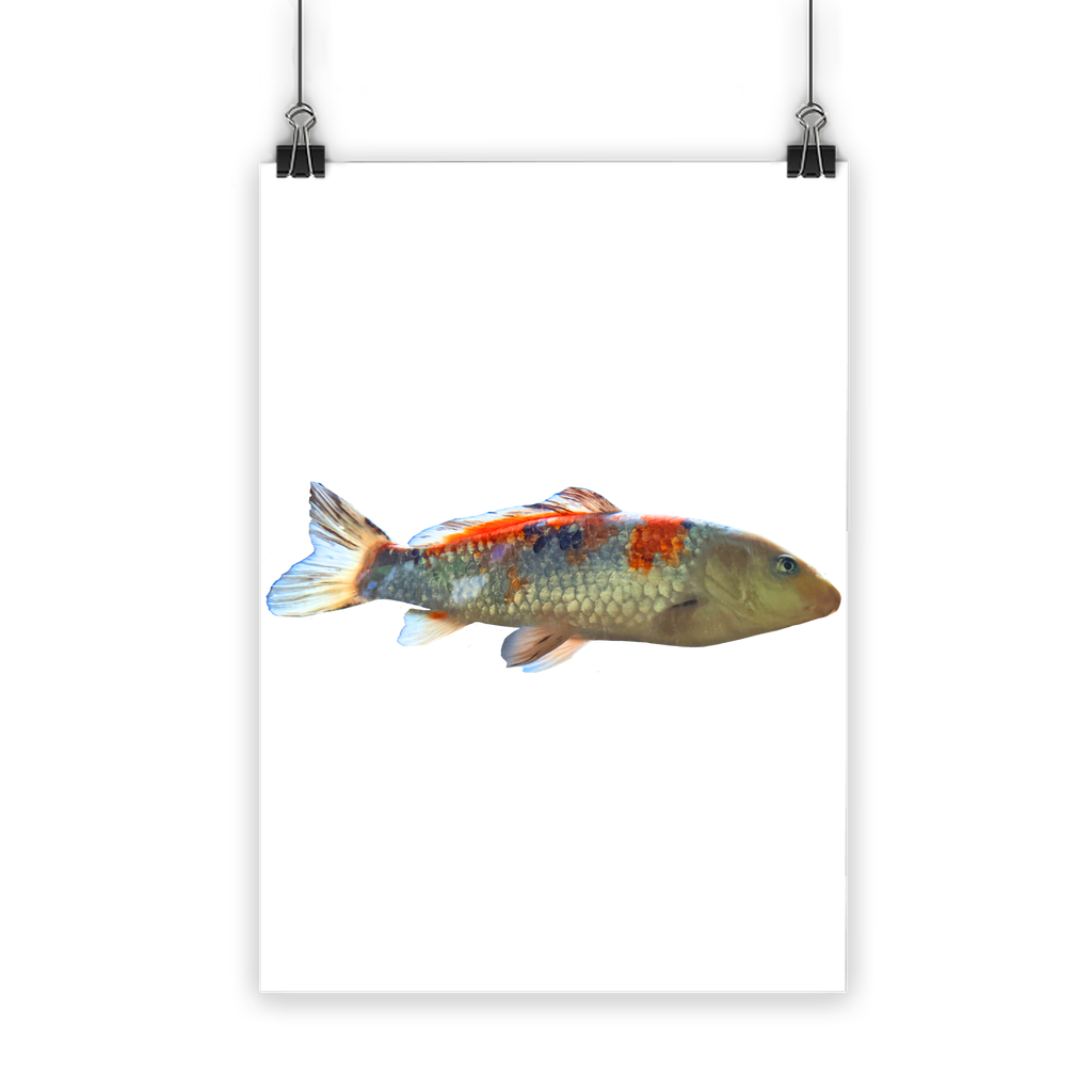 Koi Fish Classic Poster featuring vibrant colors and a semi-gloss finish, showcasing beautiful koi fish swimming in a serene setting.