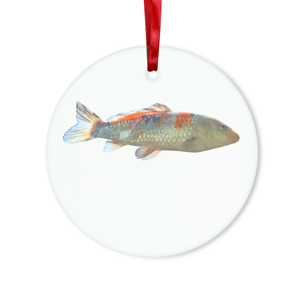 A beautifully crafted Koi Fish Glass Hanging Ornament in round and heart shapes, featuring vibrant colors and a red ribbon for hanging.