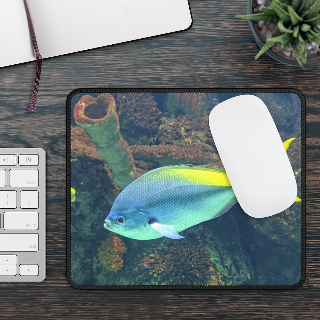 Light Blue and Yellow Fish Gaming Mouse Pad featuring vibrant colors and stitched edges, perfect for gaming and office use.