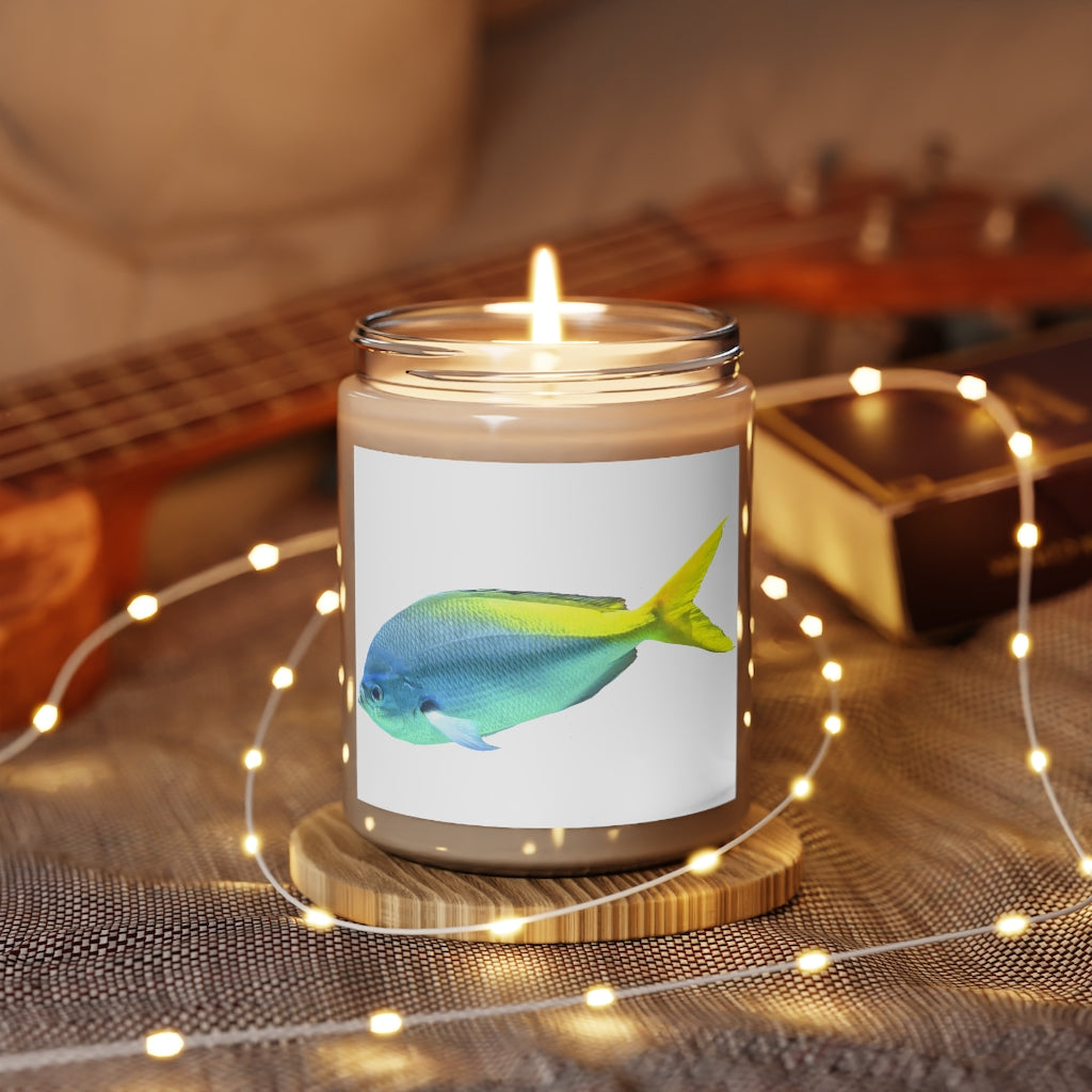 Light Blue and Yellow Fish Scented Candle in a glass container, showcasing its vibrant colors and elegant design.