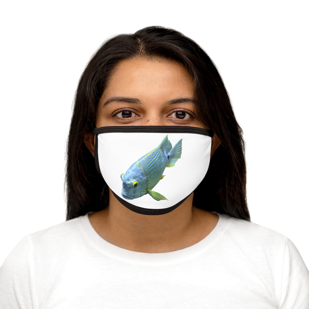 Light Blue Fish Mixed-Fabric Face Mask featuring a vibrant fish pattern with black edges and earloops.