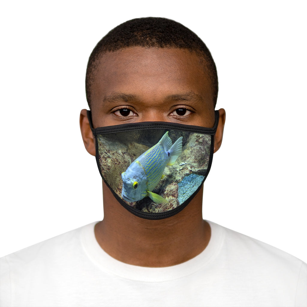 Light Blue Fish Mixed-Fabric Face Mask featuring a playful fish design with a black outer edge and earloops.